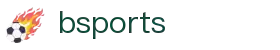 bsports(中国)B—sports登录入口